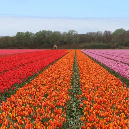 Bed & Breakfast Sea 4*