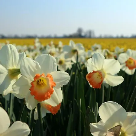 ベッド・アンド・ブレックファスト Sea