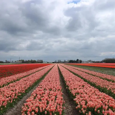 ベッド・アンド・ブレックファスト Sea ザントフォールト