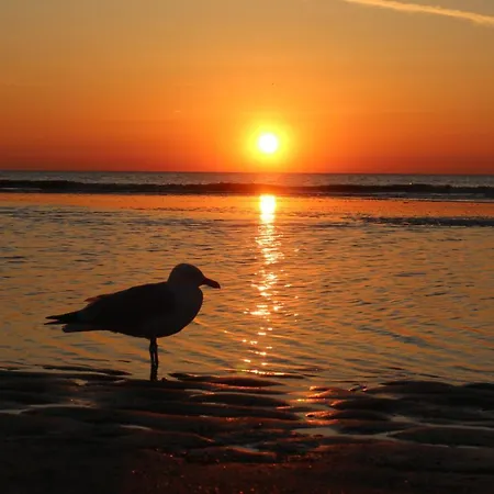 Sea